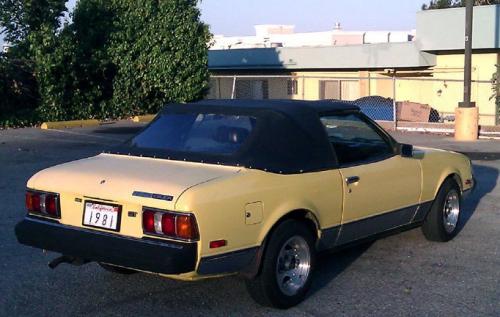 Photo Image Gallery & Touchup Paint: Toyota Celica in Yellow    (541)  YEARS: 1979-1981
