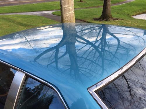 Photo Image Gallery & Touchup Paint: Toyota Celica in Light Blue Metallic  (861)  YEARS: 1978-1981