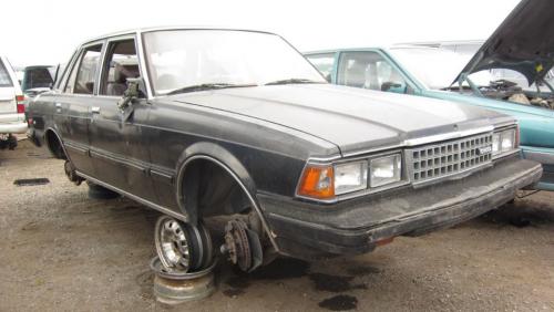 Photo Image Gallery: Toyota Cressida in Silver Gray   (XX1)  YEARS: -