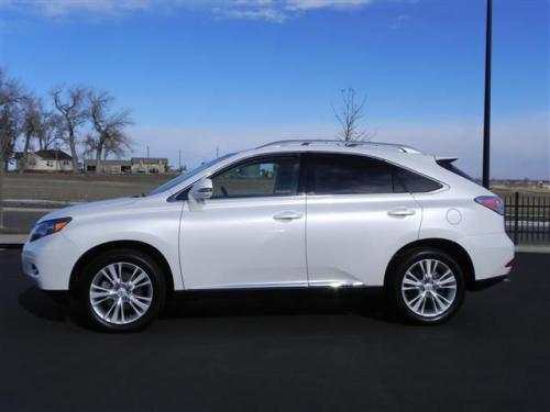Photo Image Gallery & Touchup Paint: Lexus RX in Starfire Pearl   (077)  YEARS: 2010-2013
