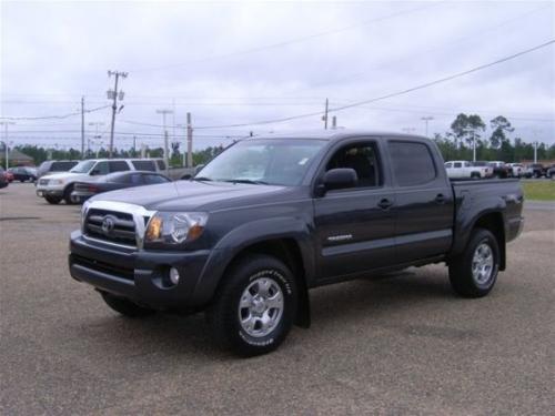 Photo Image Gallery & Touchup Paint: Toyota Tacoma in Magnetic Gray Metallic  (1G3)  YEARS: 2009-2013